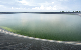 Pond Liner